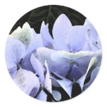 Watercolor Hydrangea Stickers - round