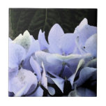 Watercolor Hydrangea Tiles