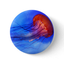 Watercolor Jellyfish