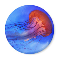Watercolor Jellyfish