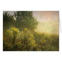 Watercolor-Like Image - Wilted Flowers in Sunshine Cards