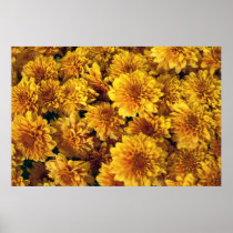Watercolor mums poster