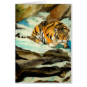 Watercolor Tiger cards
