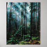 Watercolor Trees Posters