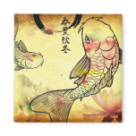 Watercolour Koi magnets