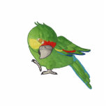 Watercolour parrot photo sculptures