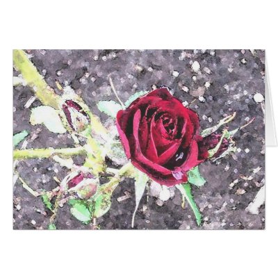 Watercolour Rose Card by cleverocity