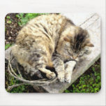 Watercolour Tiger Nap Mousepad