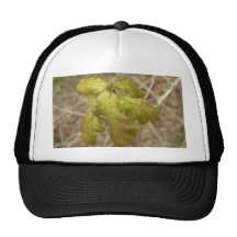 Waterdrops On Oak Leaves Trucker Hat