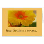 Waterdrops & Petals Sister Birthday Card