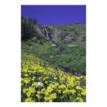 Waterfall and wildflowers in alpine meadow, art photo
