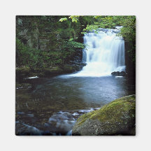 Waterfall at Watersmeet, North Devon, England Magnets