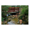 Waterfall Bridge cards