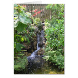 Waterfall Card