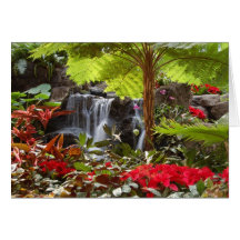 Waterfall Card