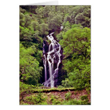 Waterfall In Forest Greeting Card