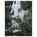 Waterfall, Norway Full Color Flyer