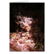 Waterfall of pink flowers cards