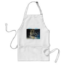 Waterfall on Beach Apron