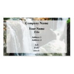Waterfall Paterson NJ Business Card