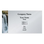 Waterfall Paterson NJ - Platinum Business Cards