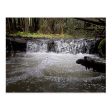 Waterfall Post Card