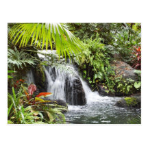 Waterfall Postcard