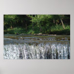 Waterfall posters