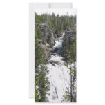 Waterfall rack cards
