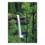 Waterfall surrounded by lush greens cards