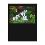 Waterfall Wilderness postcards