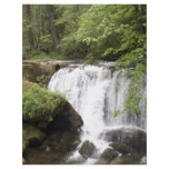 WaterfallA052309 flyers