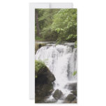 WaterfallA052309 rack cards