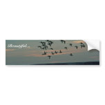 Waterfowl, Arctic National Wildlife Refuge Bumper Sticker