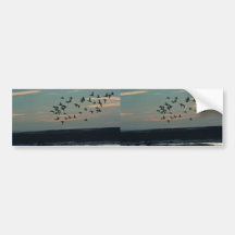 Waterfowl, Arctic National Wildlife Refuge Bumper Sticker
