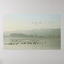 Waterfowl at Connecticut River Turners Falls Canal Print