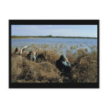 Waterfowl Hunting postcards