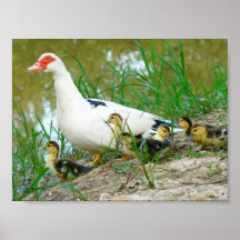 Waterfront Family Poster