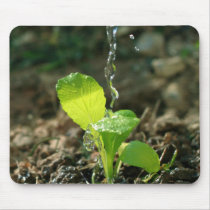 watering sapling mousepads