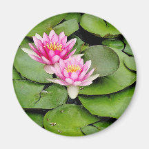 Waterlilies & Lilypads Art Magnet