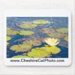 Waterlilies Mission Santa Barbara CA Products Mousepad