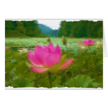 waterlillies card