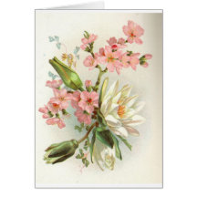 waterlily card