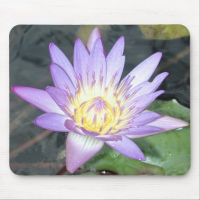 Waterlily Mousepad
