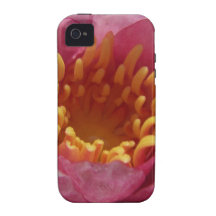 Waterlily Phone Cases iPhone 4 Covers