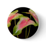 Watermelon Obake Anthurium Pin