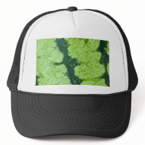 Watermelon texture mesh hats