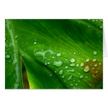Waterproof Greeting Cards