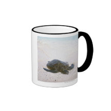 Water's edge mugs