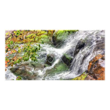 Waters Path Photo Card